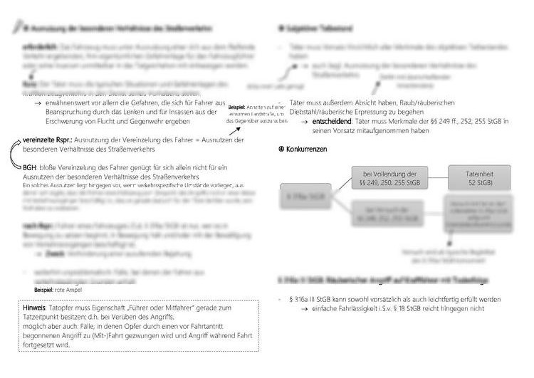 Stgb schema 316a