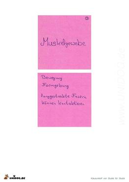 Vorschaubild 6