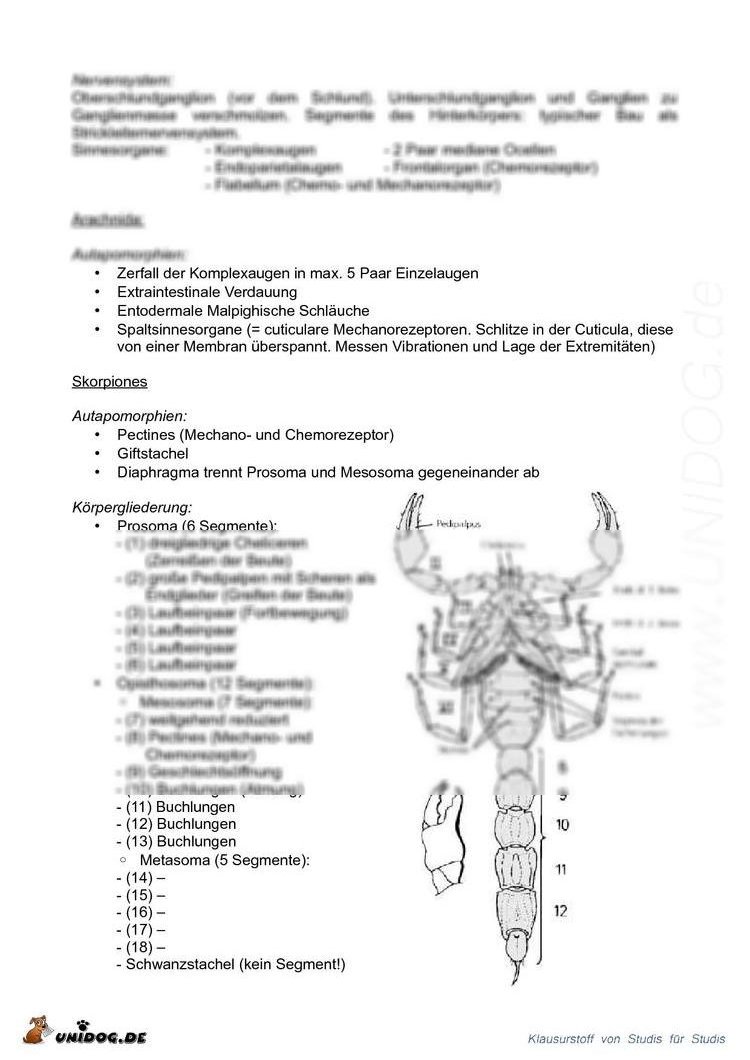 download die grundgesetze der